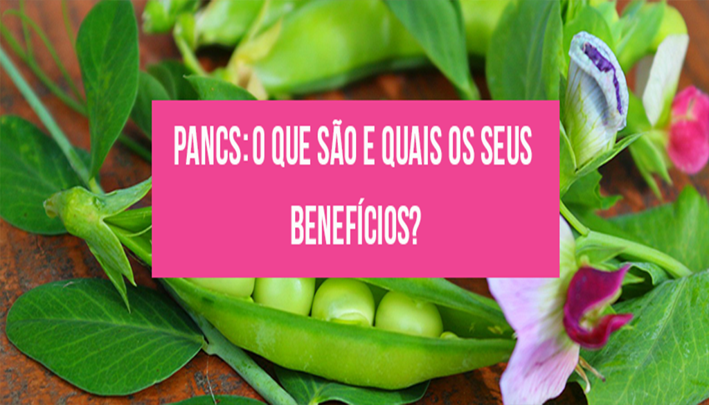 Read more about the article PANCs: o que são e quais seus benefícios?