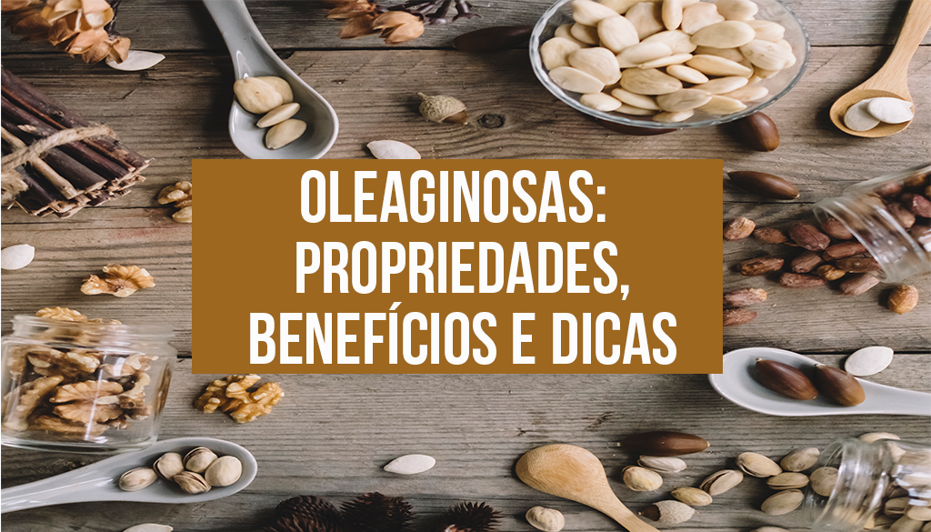 You are currently viewing Oleaginosas: benefícios, propriedades e dicas