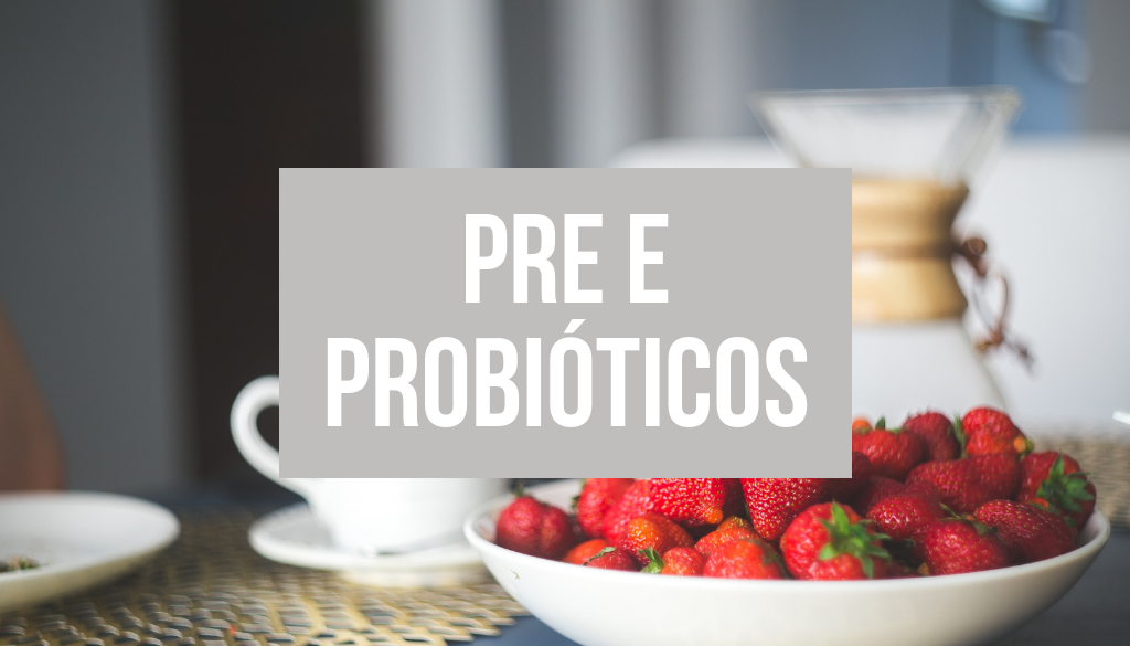 Read more about the article Pre e Probióticos