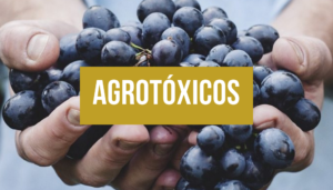 Read more about the article Agrotóxicos